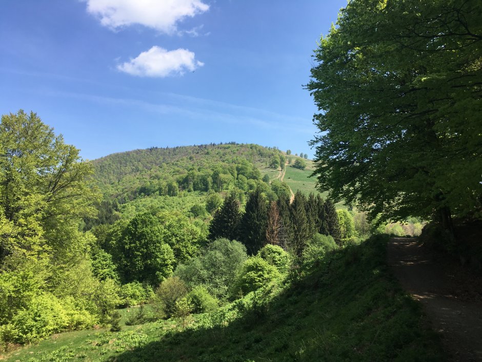  23mn img 08pr varful magura din curmatura magurii 0