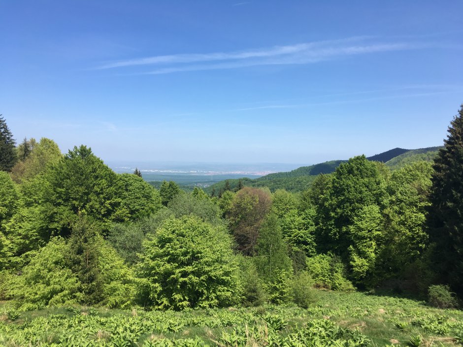  23mn img 08pr vedere din curmatura magurii 0