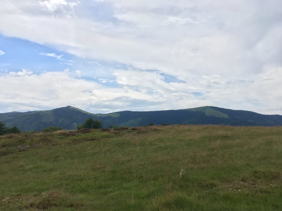  23mn img 10pa muntii lotrului pasune din cindrel 0