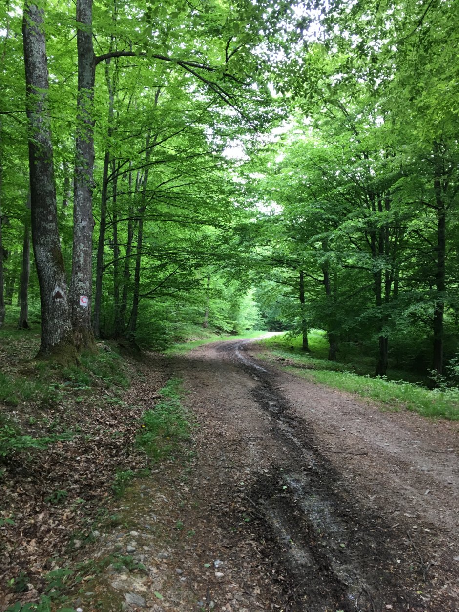  23mn img 12tr inceput traseu 0