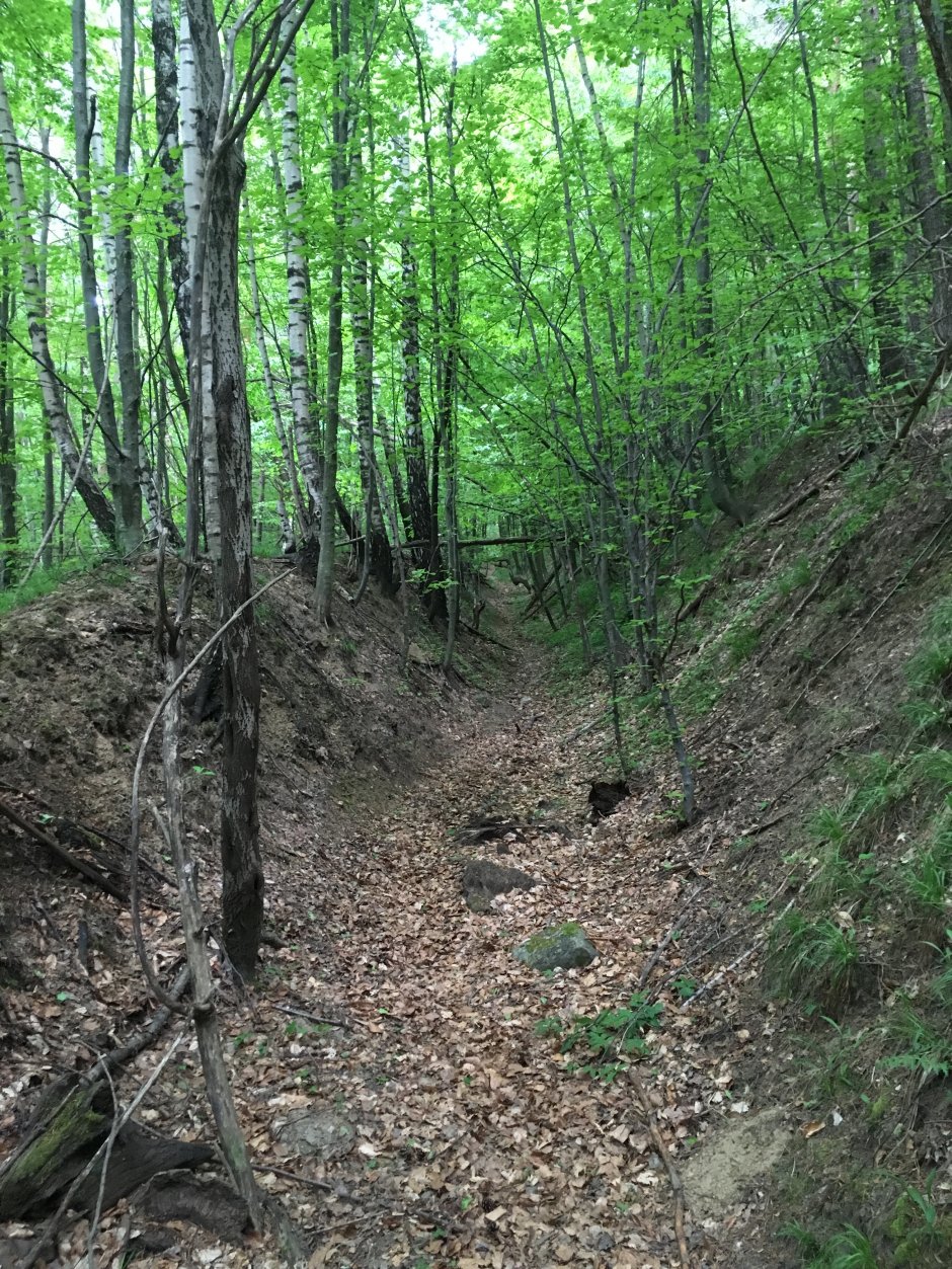  23mn img 12tr vechiul drum