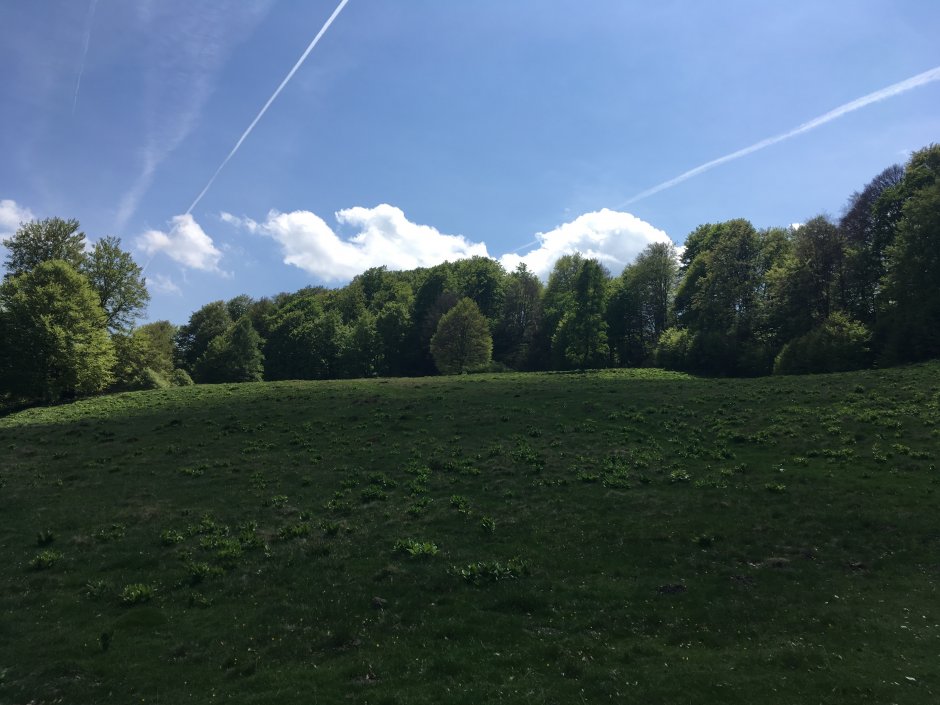  23mn img 14ta poiana trandafirilor 2