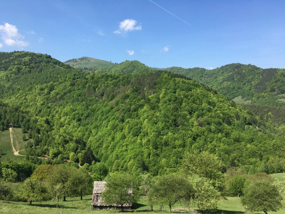  23mn img 15ca coliba 2 0