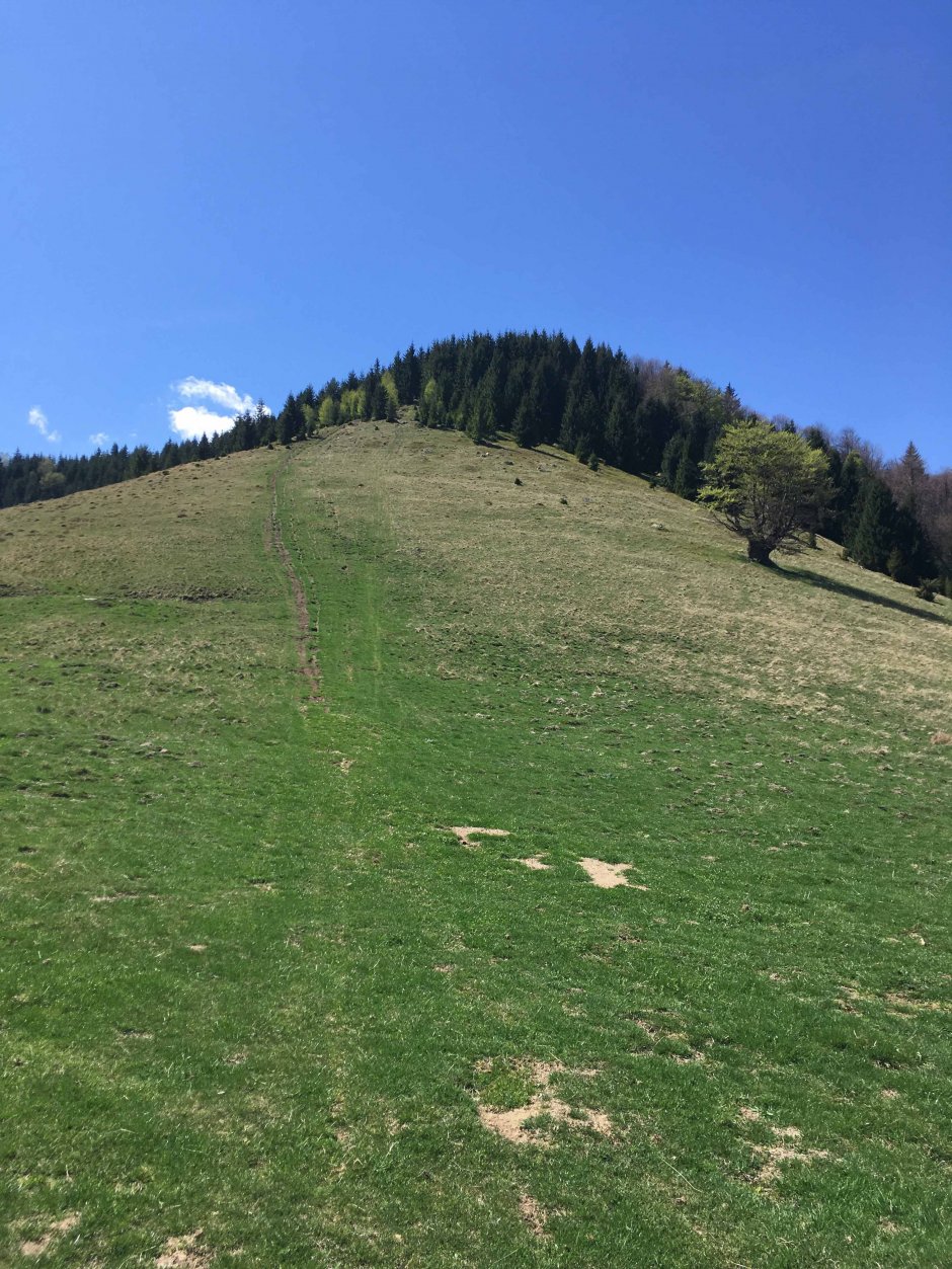  23mn img 16ba dealul barnelor 2