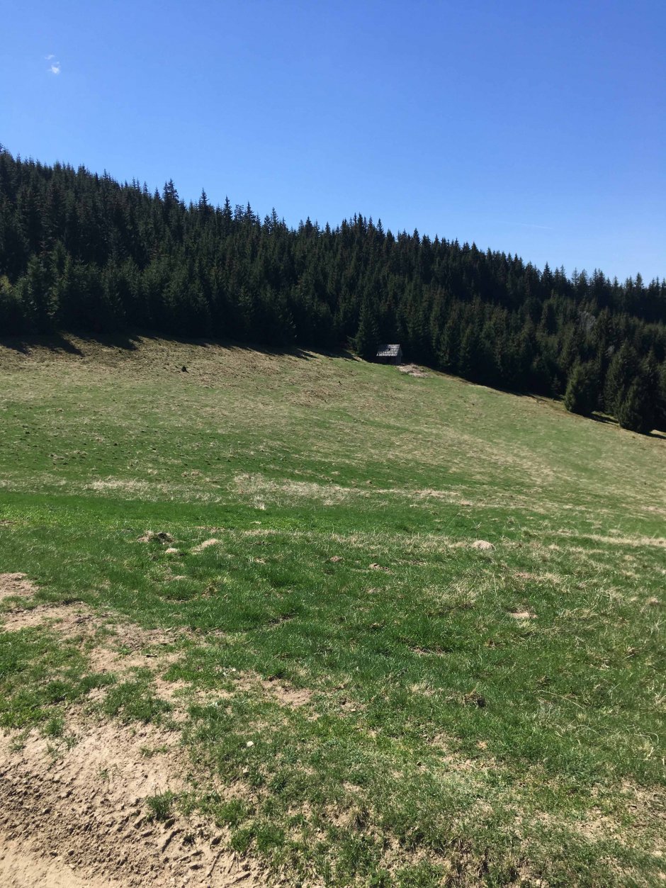  23mn img 16ba saua apa cumpanita 2