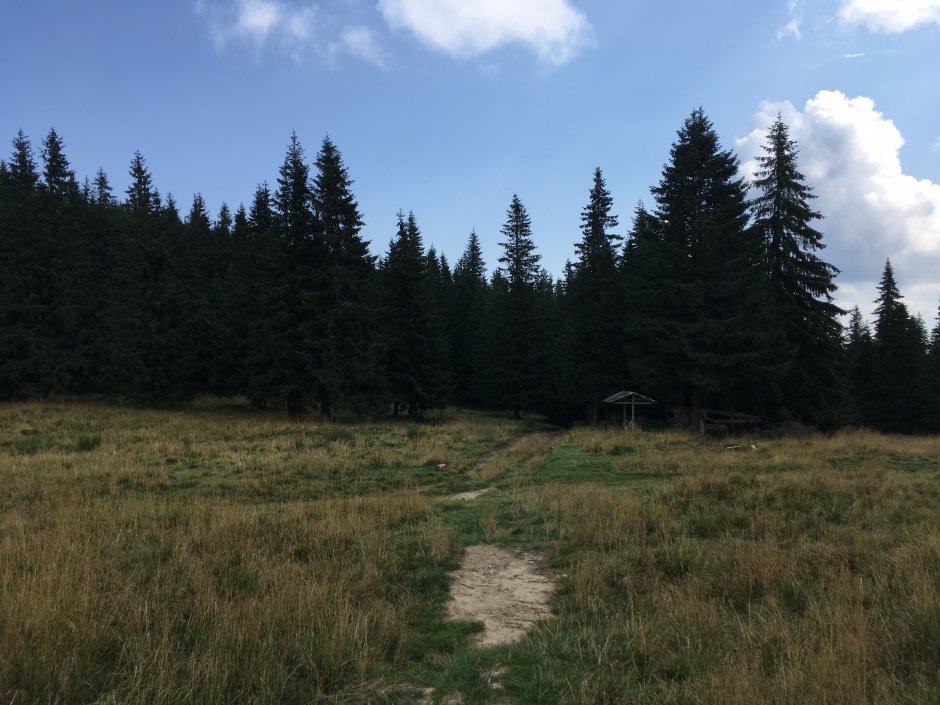  23mn img 19pa poiana oncesti 4 0