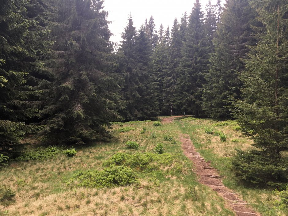  23mn img 20ta poiana lupilor 1