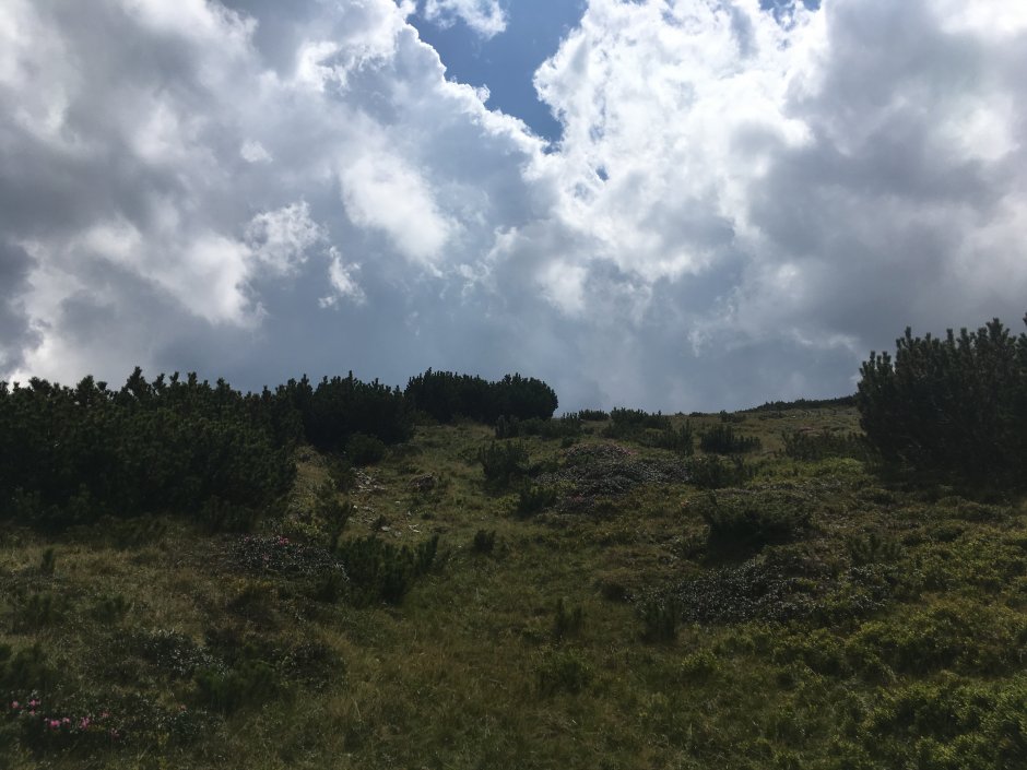  23mn img 23ta jnepenis 0