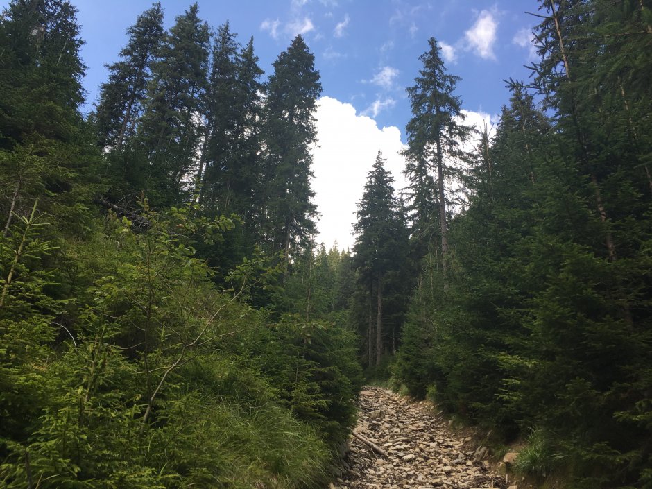  23mn img 23ta poteca  0