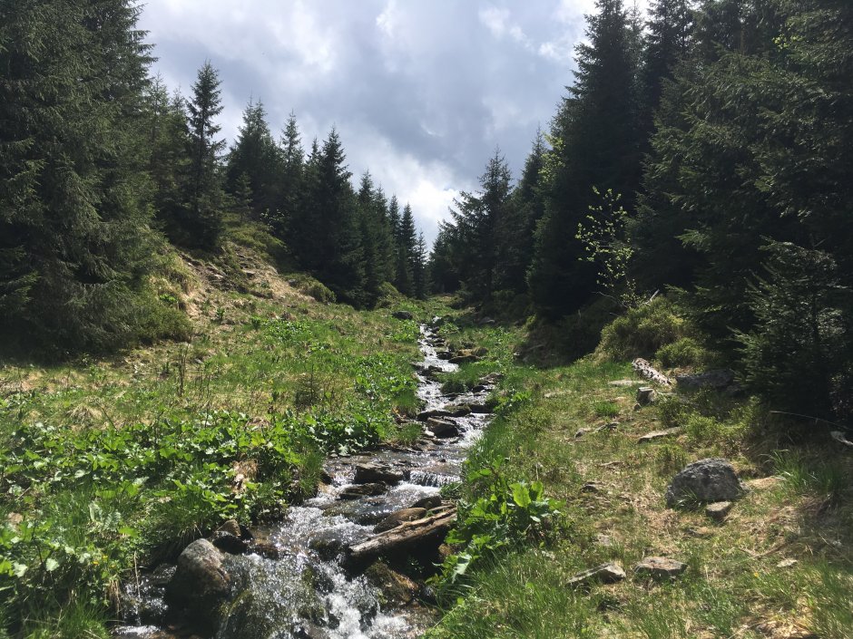  23mn img 25cr pe margine de parau 0