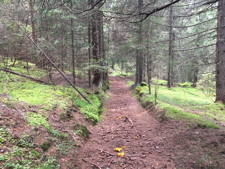  23mn img 26ca carare 0