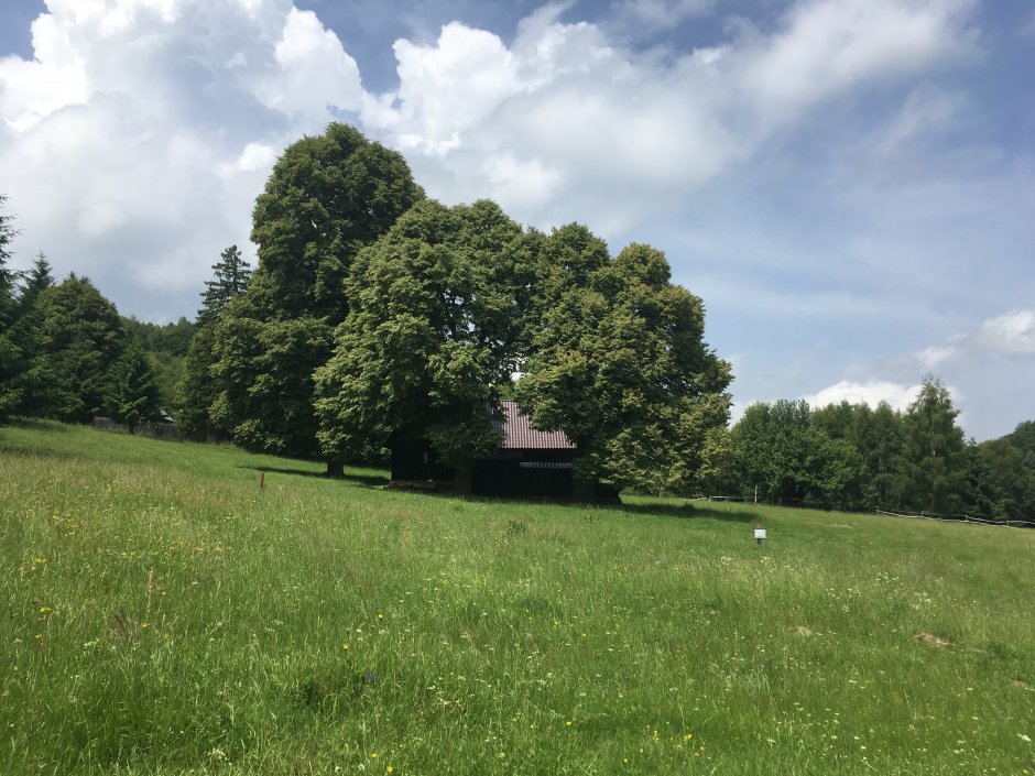  23mn img 27pa casa de vara din poiana godia 0