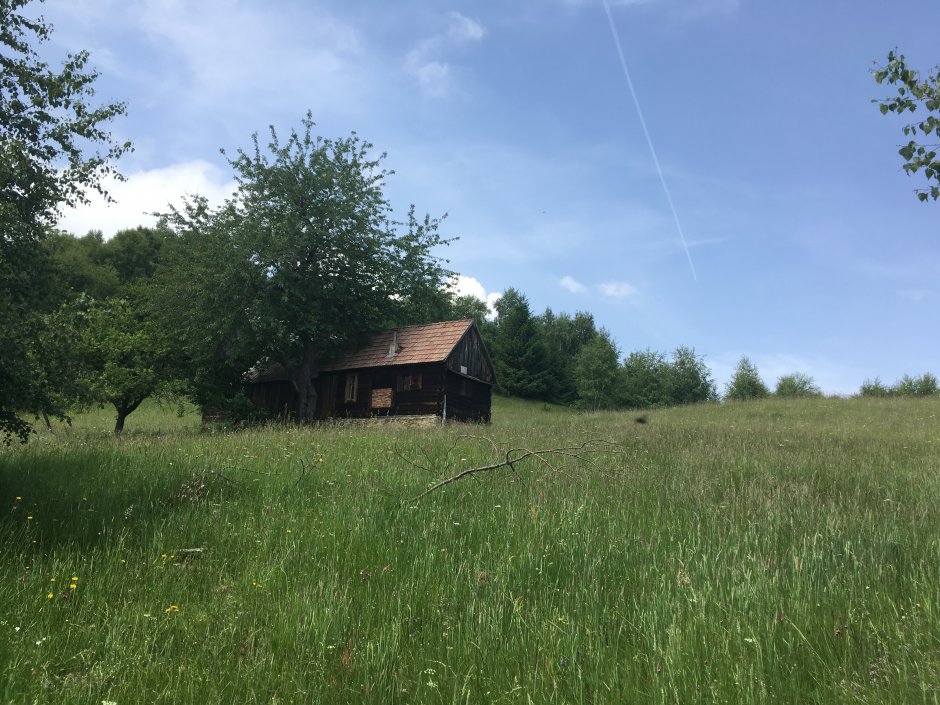  23mn img 27pa coliba 0