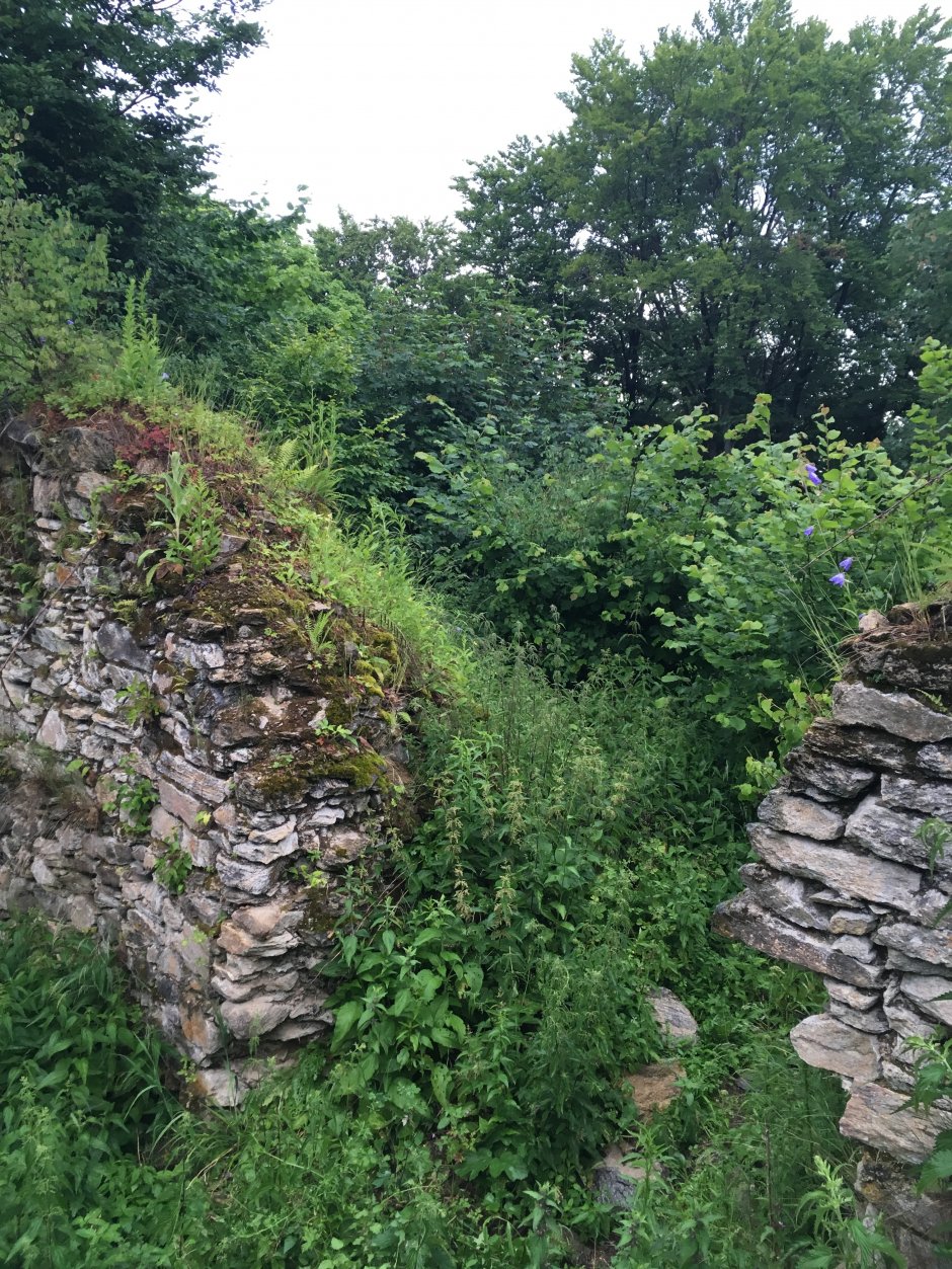  23mn img 28pg ruinele cetatii de pe varful cetatii 0