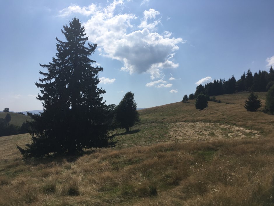  23mn img 29ta fanate