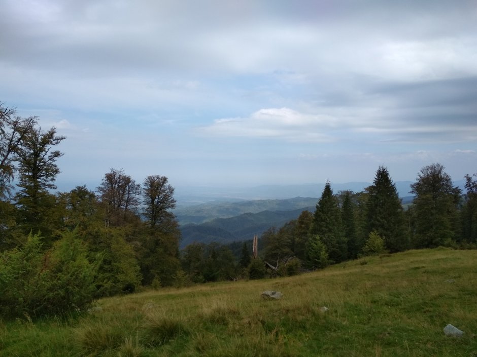  25mn img 01br vedere spre caransebes 1