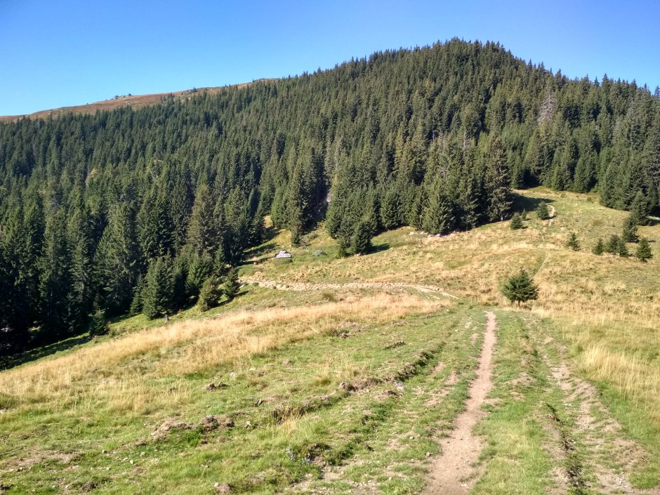  25mn img 02ba poiana boroboata 0