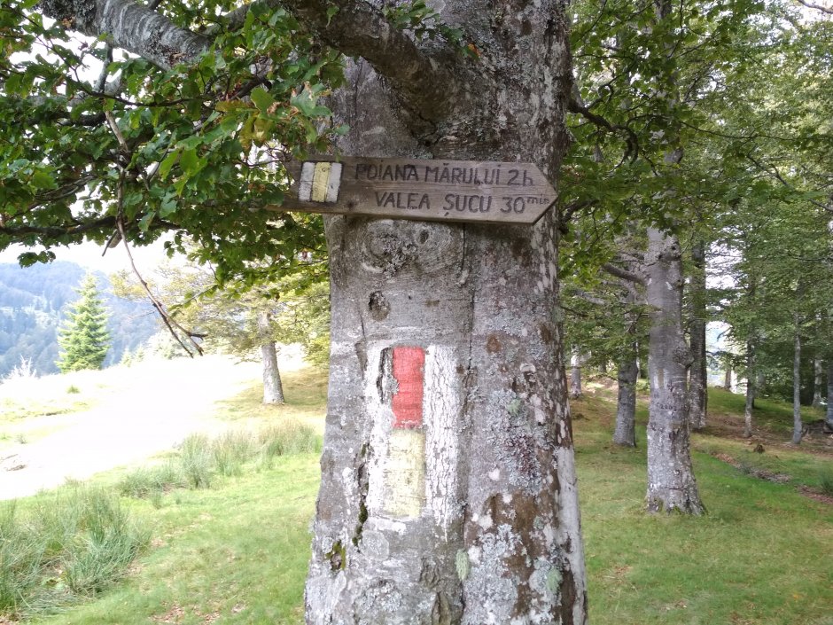  25mn img 03bg marcaj