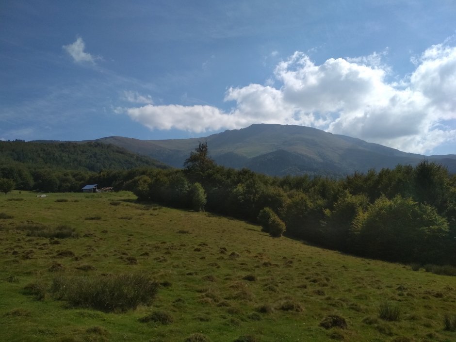  25mn img 06ca masivul tarcu vazut din poiana strigoniu 1