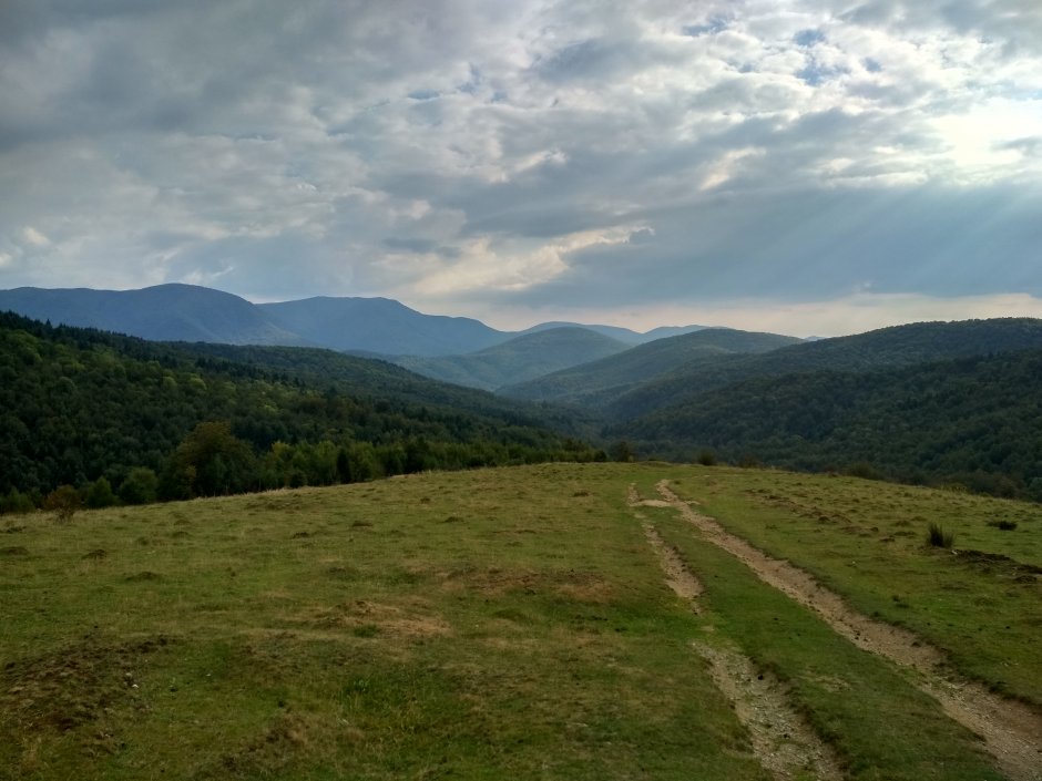  25mn img 06ca poiana zloaba 2 2