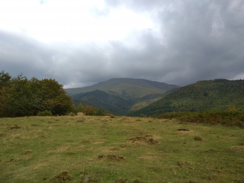  25mn img 06ca vedere spre sadovanu din poiana zloaba 1