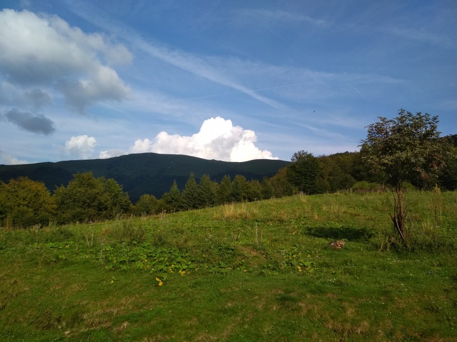  25mn img 20ta poiana cu macris 0