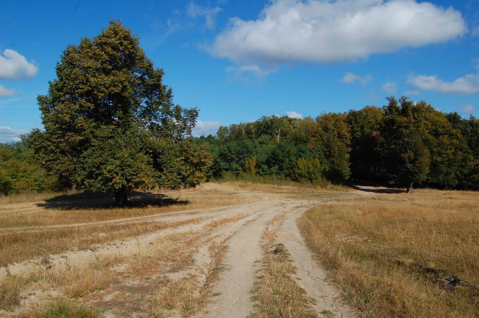  28mn img 03ca ratul peenii 0