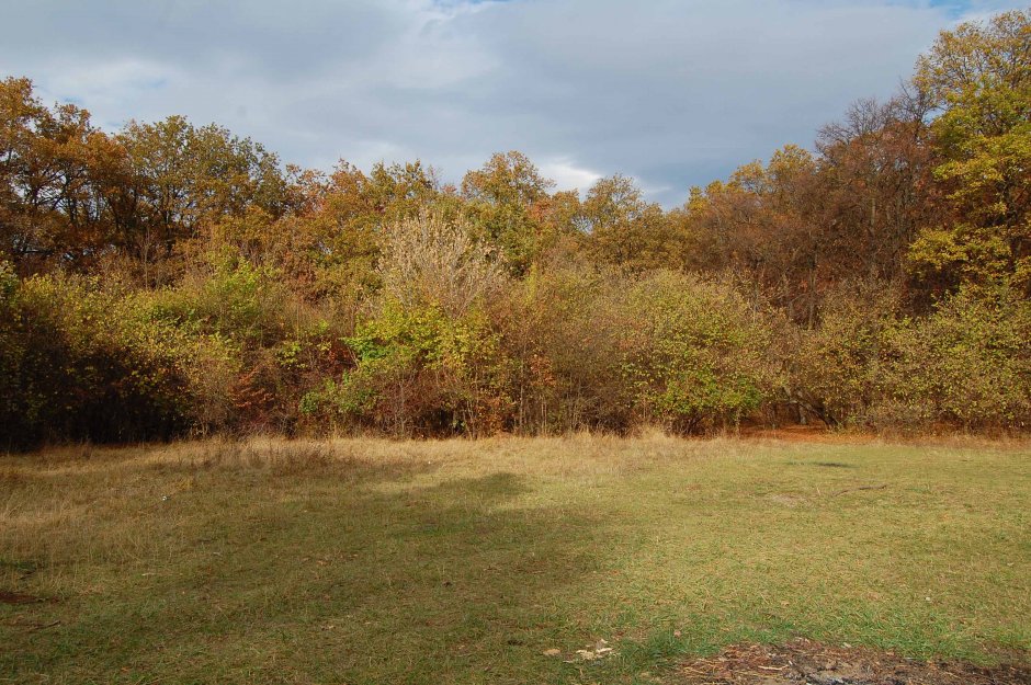  28mn img 14viamariae poiana rotunda