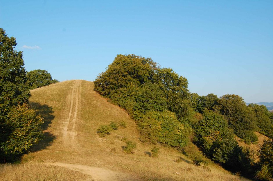  30mn img 09 cg langa vf mamut