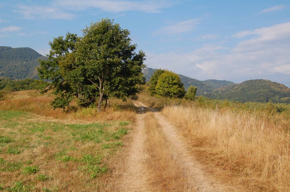  30mn img 11 cr deasupra catunului stauini 2