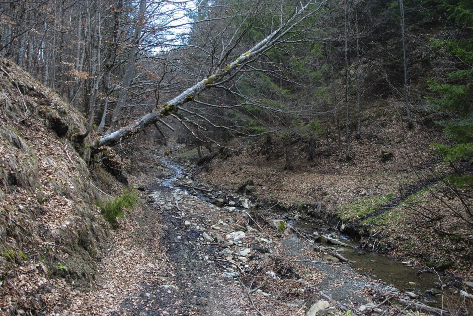  4mn img 17pr pe paraul muntele rosu 0