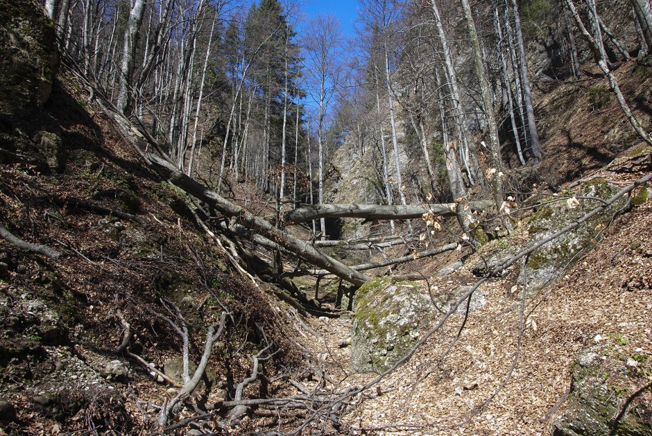  4mn img 19tg intre cheile paraului alb si cheile mici ale paraului alb v 3