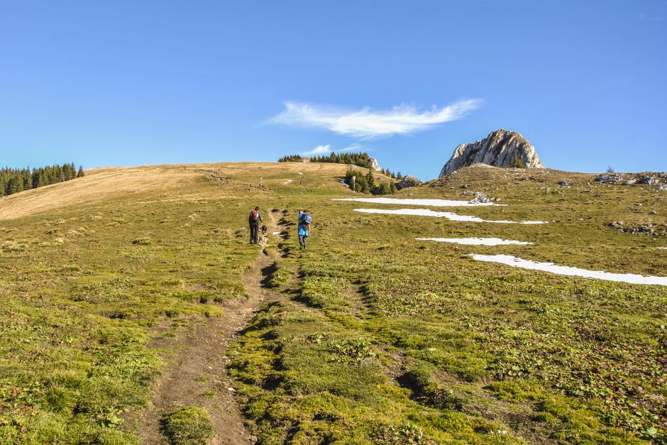  5mn img de la stana de sub piatra scrisa spre vf piatra mare - 08 4