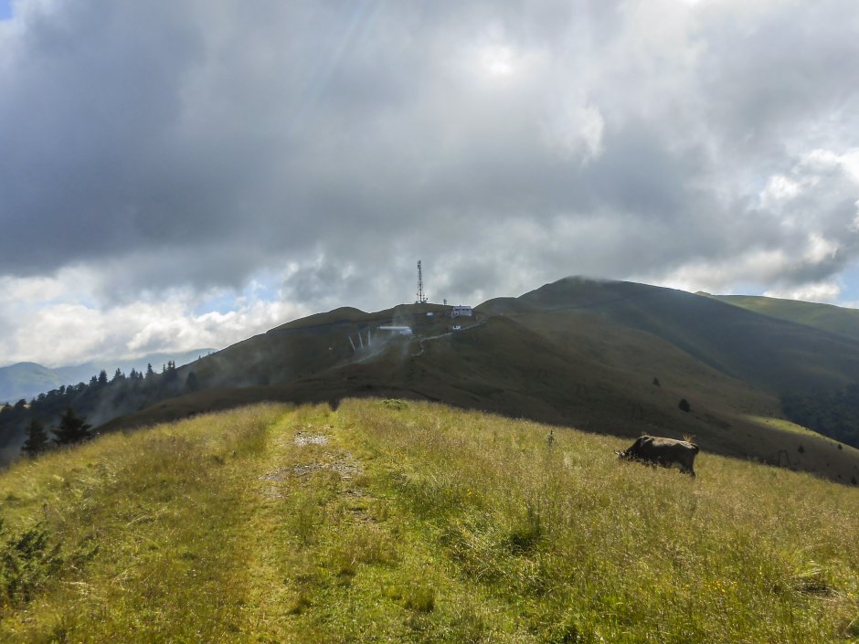  5mn img de la vf sorica spre vf cazacu - 11 0