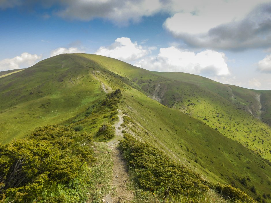  5mn img de la vf turcu spre vf paltinu - 09 3