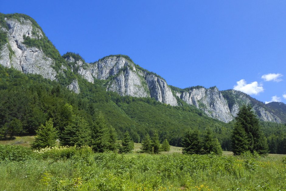  5mn img din poiana inului spre postavaru - 45 3