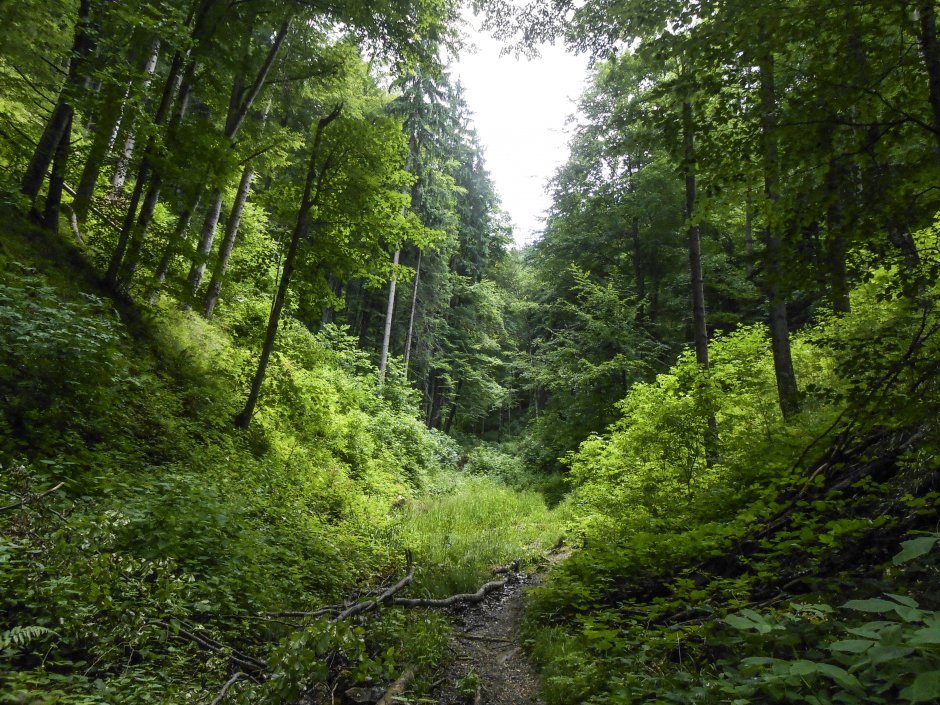  5mn img iesire din valea hotilor - 33 3