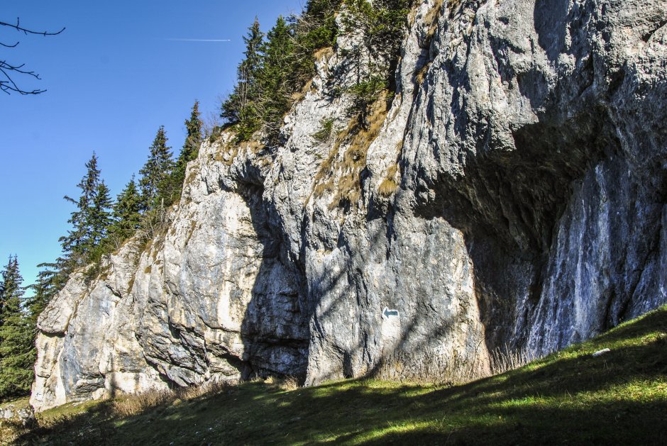  5mn img in partea de sus a poienii baciului - 19 6