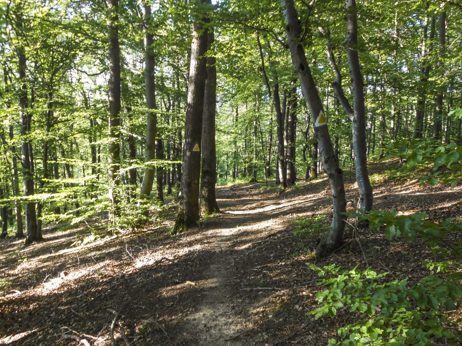  5mn img intre brasov si stejerisul mic - 42 0