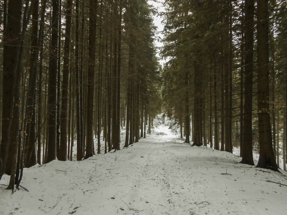  5mn img la sud de saua pietricica - 24 4