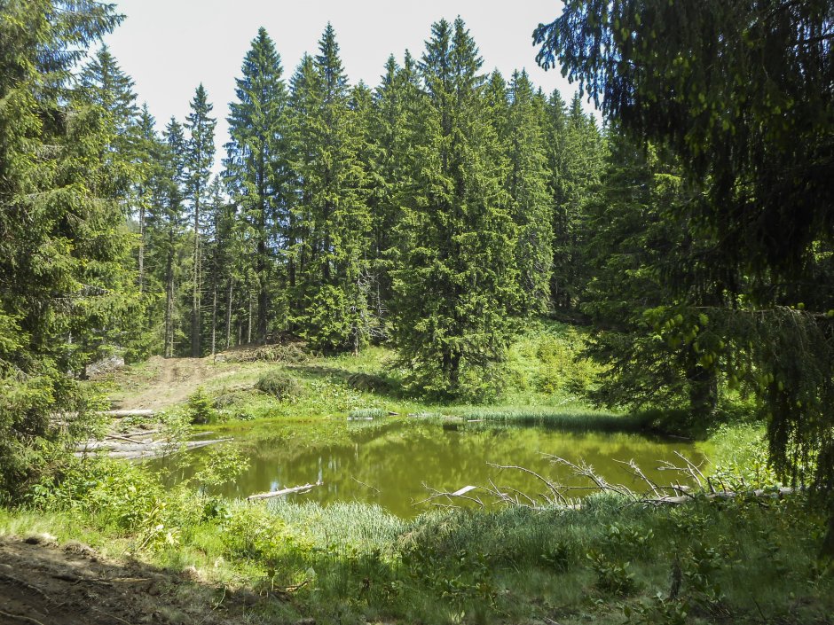  5mn img lacul rosu-gavan - 25 3