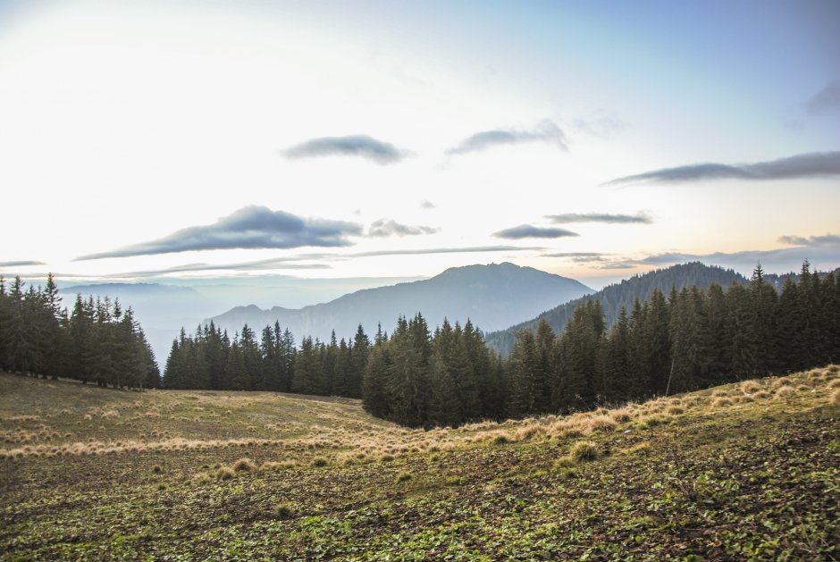  5mn img pe muchia galbeaza - 06 3