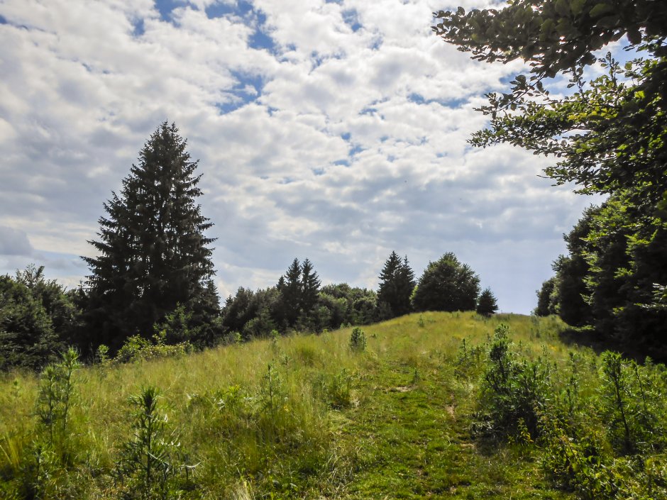  5mn img pe piciorul piscul cainelui in poiana de sus - 13 3