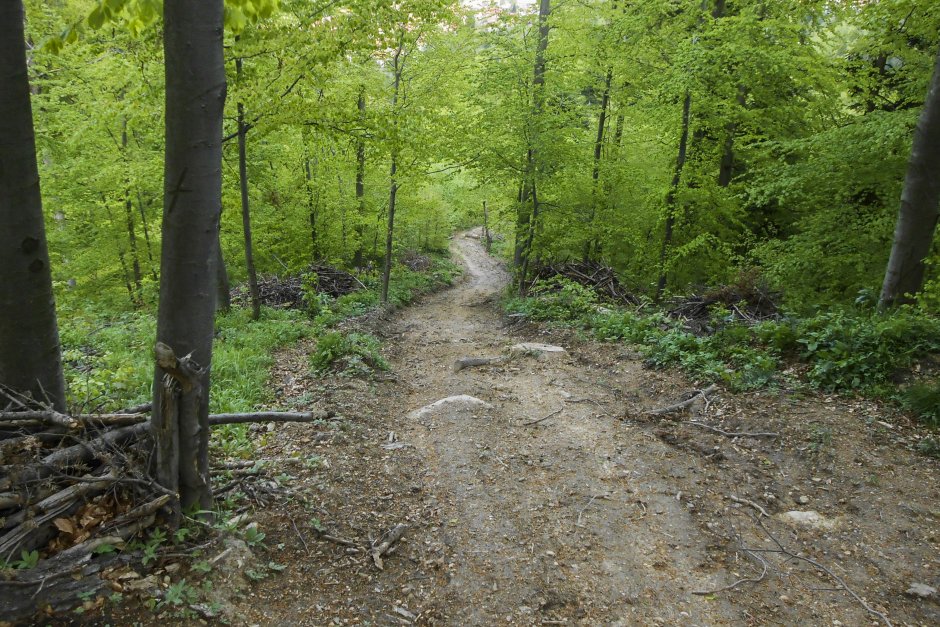  5mn img pe piscul lung - 31 3