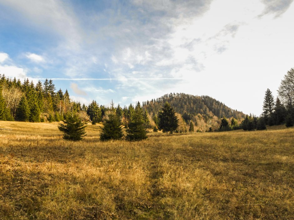  5mn img poiana mare intre valea garcin si vf talfa - 17 5