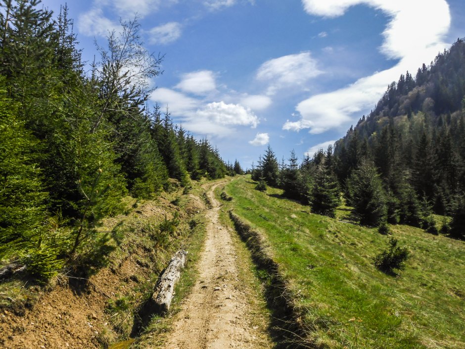  5mn img sub saua dintre bradet si carbunarea - 18 3