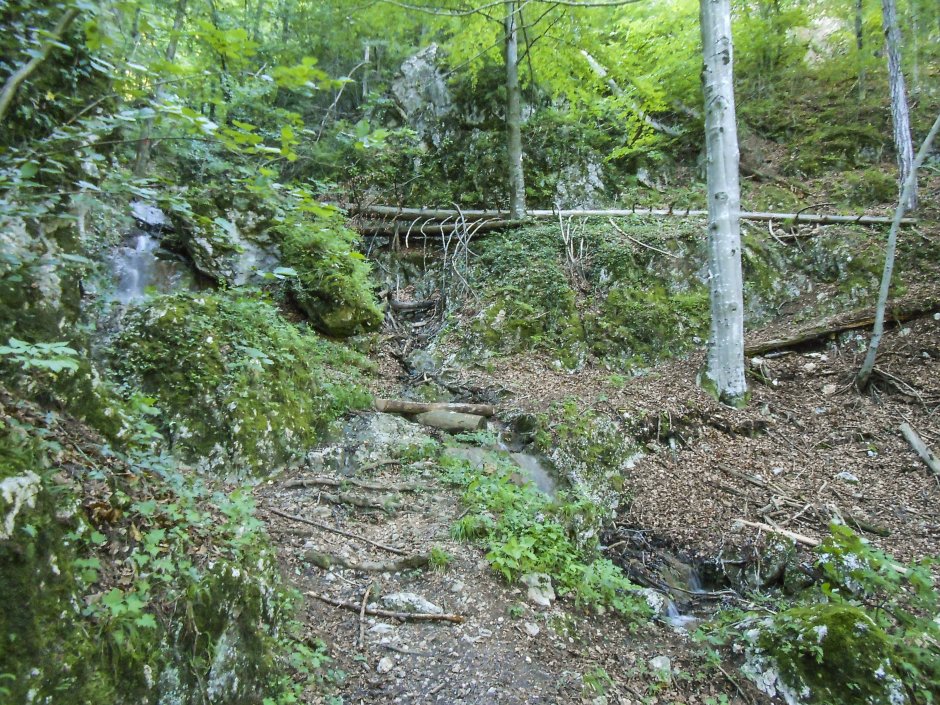  5mn img valcelul dracului - 41 3