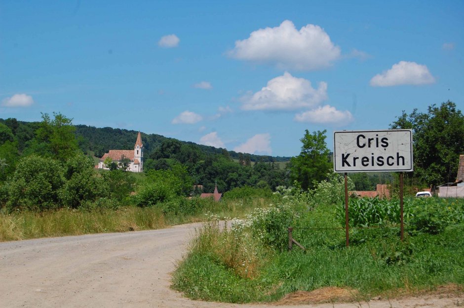  6mb img 03 intrarea in cris dinspre sud 0