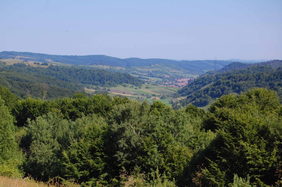  6mb img 04 malancrav vazut din creasta