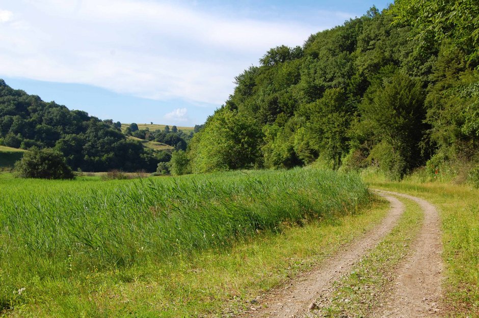  6mb img 05 valeaiacobeni 0